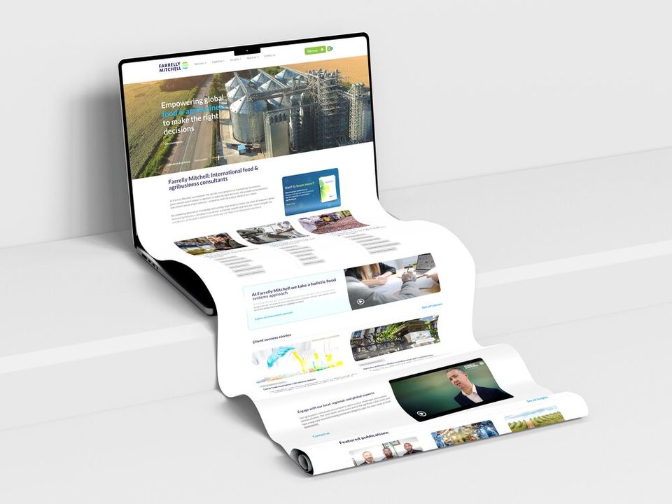 Farrelly Mitchell, Website Design & Development